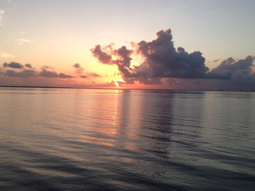 Hemppants29's profile picture. 