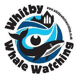 Learn about Whitby's whaling heritage. Then head out to sea to see one!