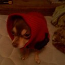 spencer boyce - @angboyce08 - Twitter