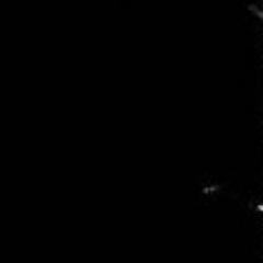 DanilenkoT's profile picture. 