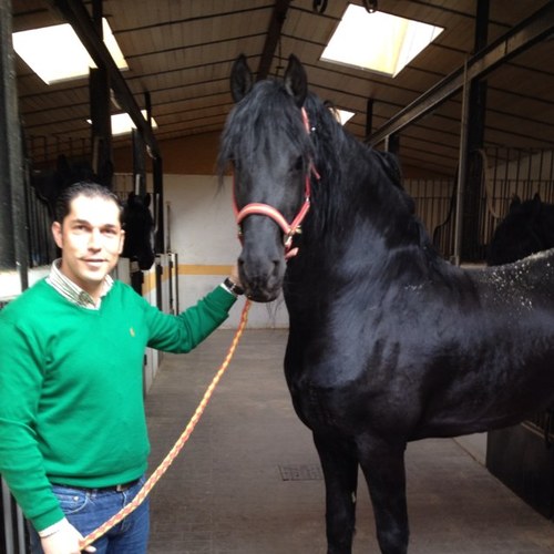 alfonsojaranda Profile Picture