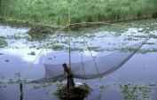 Friendly planet Bangladesh operate guided tours in bangladesh - http://t.co/YqETvnGwBm