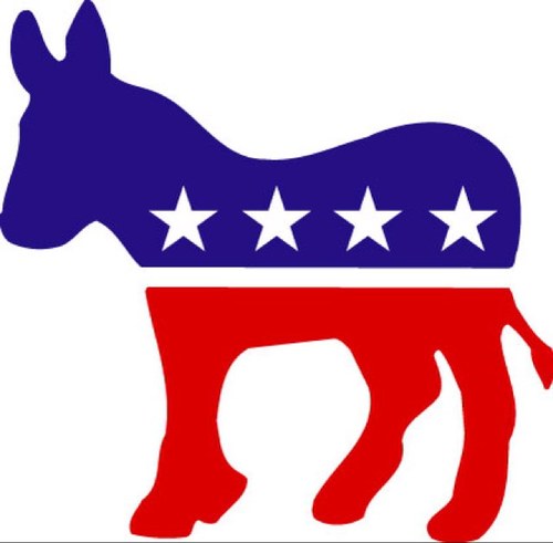 Just an average girl with a democratic view on American politics