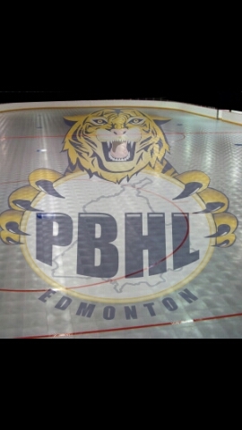 Bringing you the latest news, scores and trades from the Punjabi Ball Hockey League. The only official PBHL account.