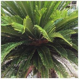 RainLFlow's profile picture. 