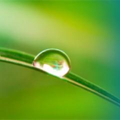 Litigators at Manko, Gold, Katcher & Fox, LLP handle environmental and traditional commercial litigation and blog about recent cases and developments.