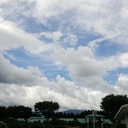 芙紀 (@031397Penguin) Twitter