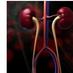 Urological nursing (@uroconnursing) Twitter profile photo Urological nursing (@uroconnursing) Twitter profile photo