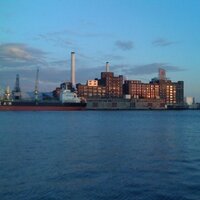 Stephan Levitsky (@stevelevitsky) 's Twitter Profile