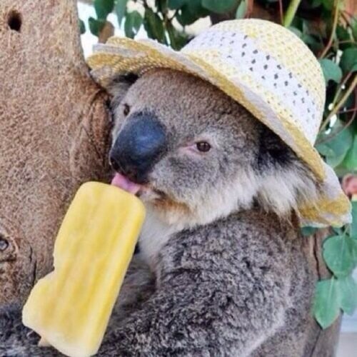 freefollow185's profile picture. follow @violenthoran sorry im thirsty and annoying and gross