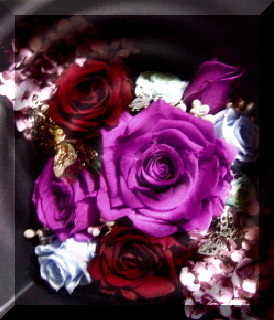 shinobu_mini's profile picture. ただの音楽好き。