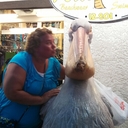 Cara Herron - @CaraHerron1 - Twitter