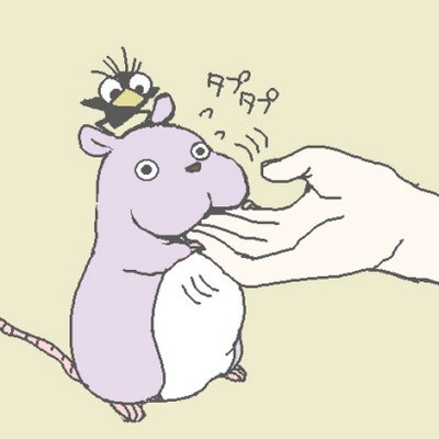 鮫仔太郎