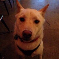 Caleb Davis (@calebtdavis) 's Twitter Profile