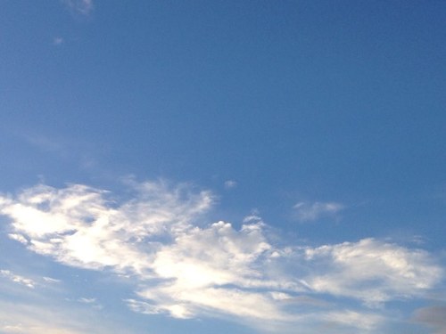 yiyioo's profile picture. 