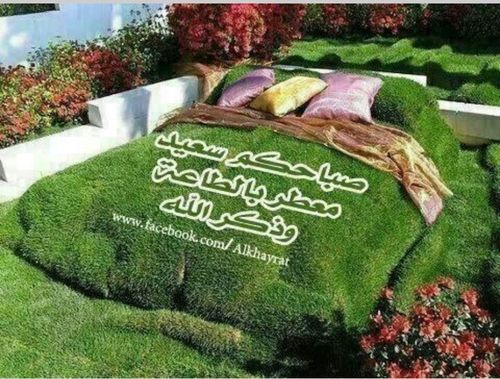 ‏‏انثى جميله بروحي قبل كل شي اعشق الهدوء والاستقرار متفائله لدرجة  الجنون في امل مستحيل بس عندي امل الله كريم