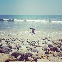 SamySamSays's profile picture. Lifelong learner.