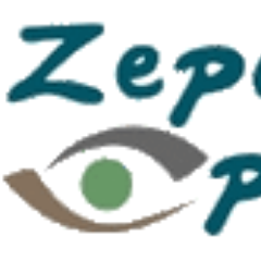 Zepol Optimized makes businesses relevant through effective SEO, SEM mgmt Targeted Direct Mail, Brand Ambassadors, Business Planning & Marketing Planning