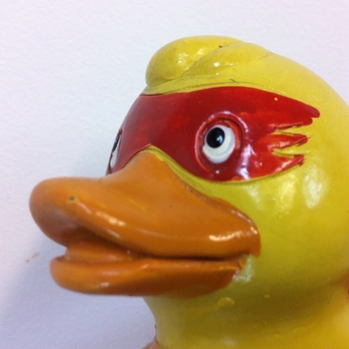 Duck and fine artist.