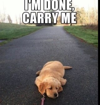 PenniTodd's profile picture. 