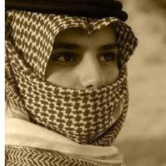 ans1n Profile Picture
