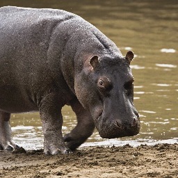 natFTH's profile picture. Do more and want less.