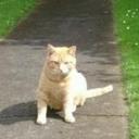 thomas alcock - @thomasalcock1 - Twitter