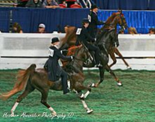 One more girl trying to make her way to the top with the help of hoof black and red lipstick