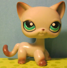 HEY SUP its LpsStormDreamer YEAH BUDDY! and I like pie and chocolate milk :3
