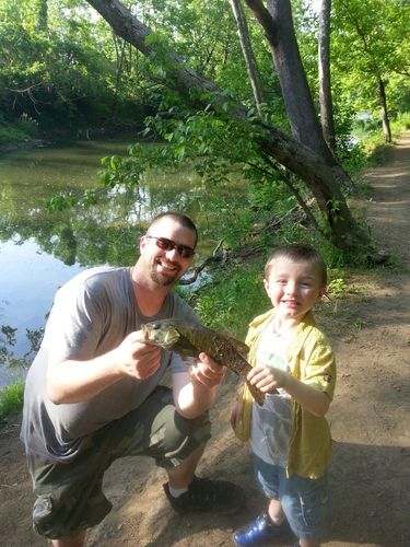 DaveandAlex's profile picture. 