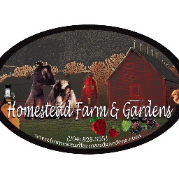 Family farm that specializes in the production of organic non-GMO fruits and vegetables. Also offer maple syrup, eggs, jams and other products!