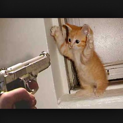 sleep all day • exterminate pussy all night
killin pussy since '94