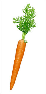 embarrased1's profile picture. im a carrot named kevin :)