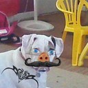 danielle Salley - @214day - Twitter