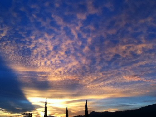 Emamoor's profile picture. 