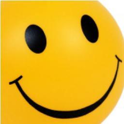 avsokol's profile picture. 