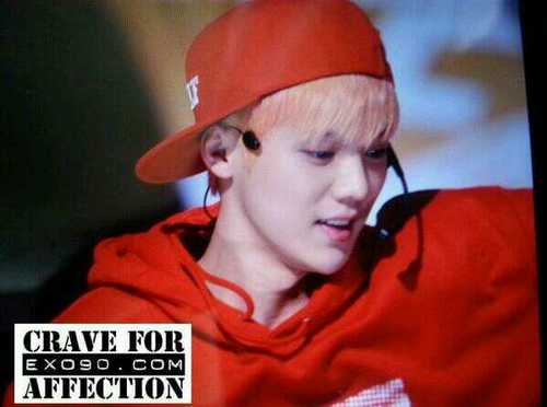 90 lines | We Are One We Are EXO | Deer Lulu | Telekinesis