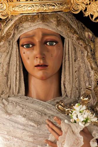 muiz_alberto's profile picture. 