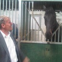 Dave Henery (@henery_dave) 's Twitter Profile