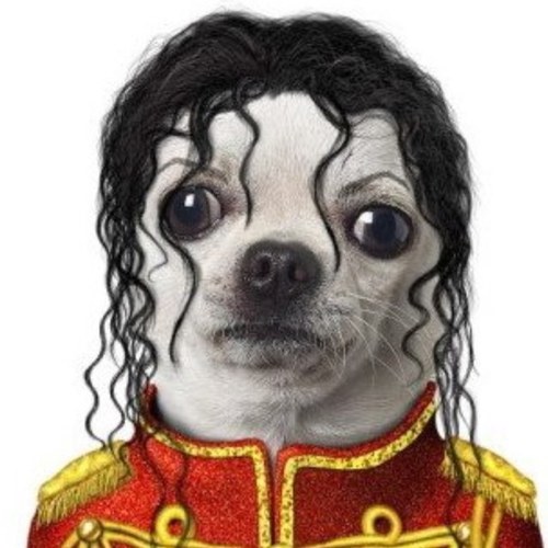 AliKilmarts Profile Picture