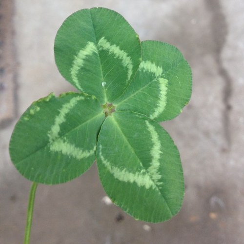 becca_pride24's profile picture. 