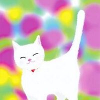 ジンジンタン（動物救済係り） (@niyanmama) Twitter profile photo