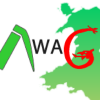 AWAG (@airwaywales) 's Twitter Profile