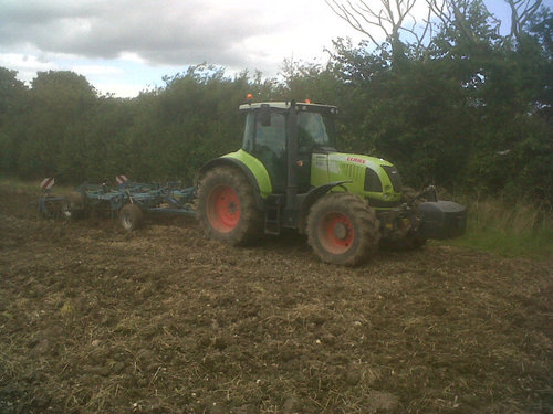 pabloprimm76's profile picture. Love my Sophie. Love my children. Love my cricket!!!