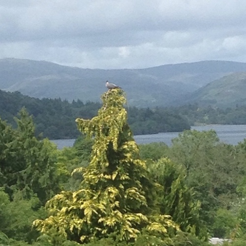 mar5319's profile picture. 