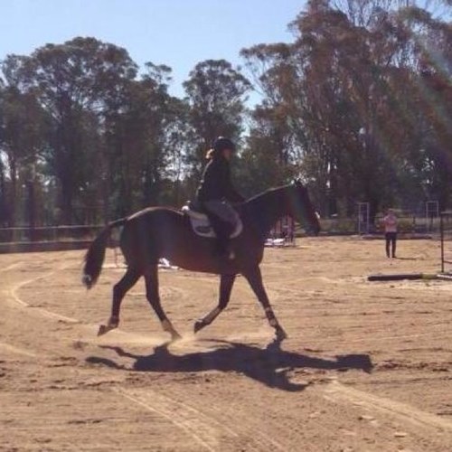 JodieIsRad's profile picture. just another somebody