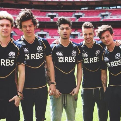spam account. one direction