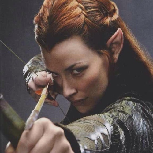 Middle-Earth Observer
