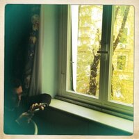 Leonardo Mineo (@leomineo) 's Twitter Profile