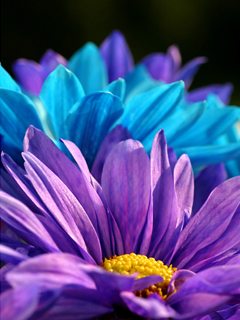 tory_1333's profile picture. 